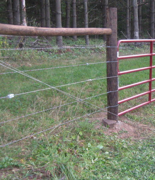 stretching barbed wire