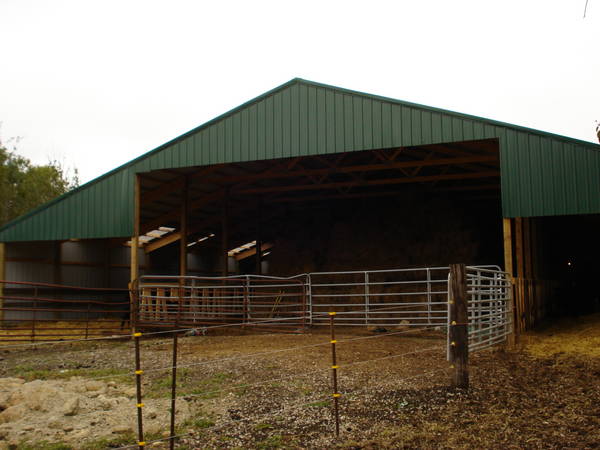 New Hay Feeding Barn Cattletoday Com