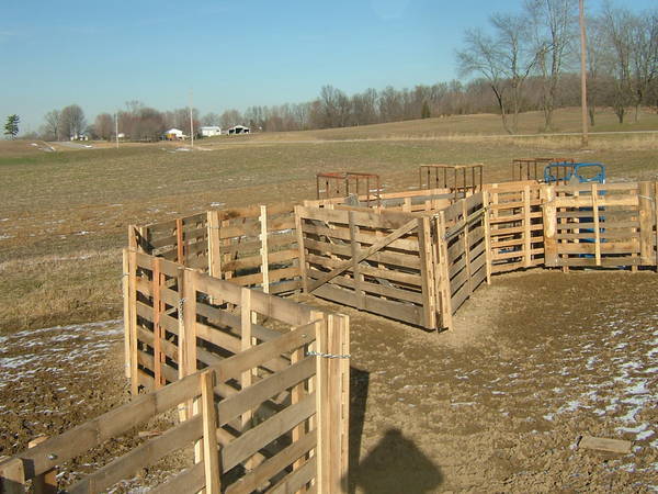 Need some temporary corral ideas - CattleToday.com